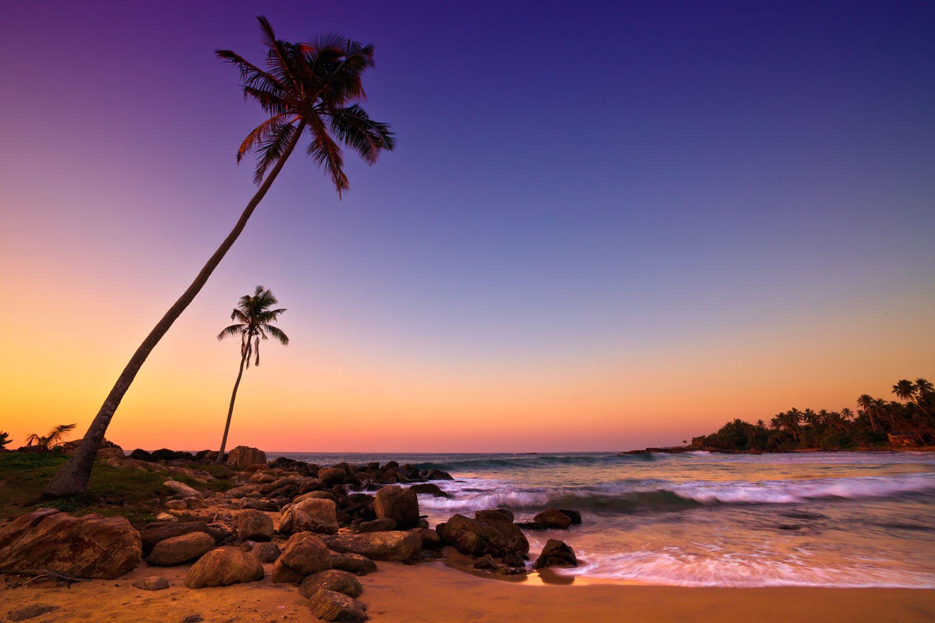 Srilanka Women Tour